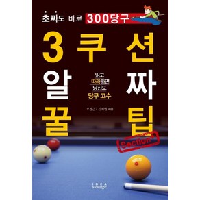 [아이디어스토리지]3쿠션 알짜 꿀팁 Section+ : 초짜도 바로 300 당구