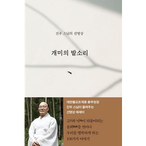 개미의 발소리:진우 스님의 선명상, 조계종출판사