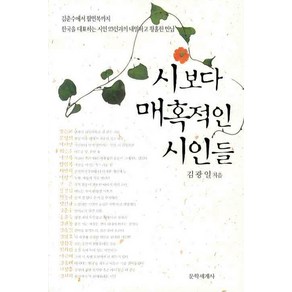 시보다 매혹적인 시인들, 문학세계사, 김광일 저