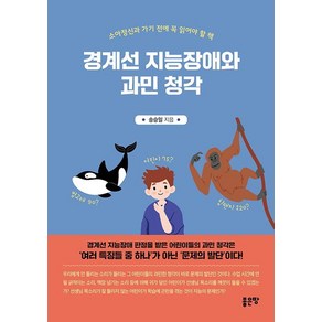 경계선 지능장애와 과민 청각, 좋은땅, 송승일