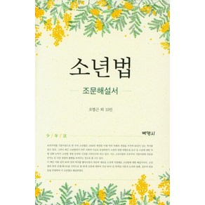 소년법:조문해설서, 박영사, 오영근김혁김민규박찬걸성우제원혜욱이상한이승현이유진이재진이정주이천현정정원주용기최병각황만성