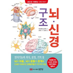 뇌·신경 구조:의료종사자 스포츠 관계자 일반인들의 필독서