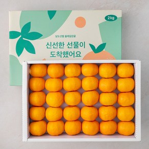 GAP 해풍맞은 올레길 Ai선별 당도선별 10bix감귤세트 로열과, 2kg, 1박스