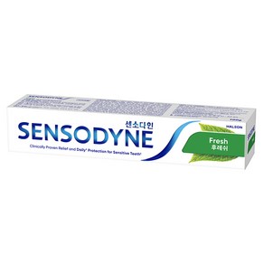 센소다인 후레쉬 치약 민트향, 100g, 1개