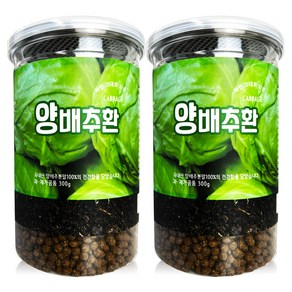 헬로우그린 양배추환 통, 300g, 2개