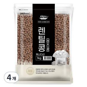 더담은 렌틸콩 렌즈콩, 1kg, 4개