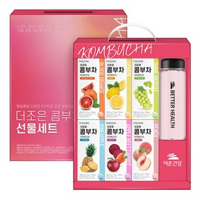 더존건강 더조은 콤부차 보틀 선물세트, 콤부차 6종 + 보틀 500ml, 1세트