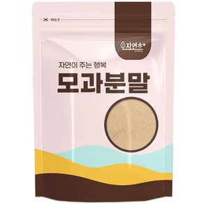 자연초 모과 분말 가루, 300g, 1개입, 1개