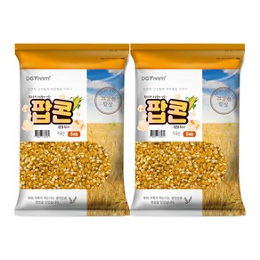 건강한밥상 팝콘용 옥수수, 5kg, 2개