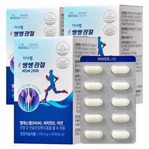 이너랩 쌩쌩 관절 MSM 2000