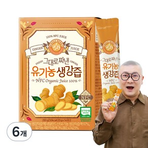 홀베리 그대로짜낸 유기농 생강즙 14p, 280g, 6개