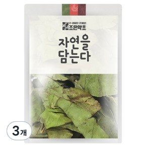 조은약초 구지뽕 잎, 200g, 3개