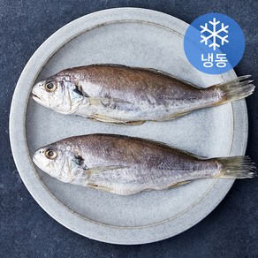 아라보감 국산 손질 반건조 백조기 (냉동), 250g 내외, 1개