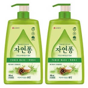 자연퐁 찌든때 걱정없는 솔잎 파워워시 주방세제 용기형, 980ml, 2개