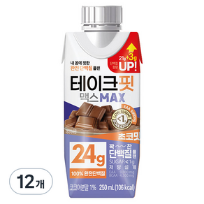 테이크핏 맥스 초코맛 드링크믹스 RTD, 250ml, 12개