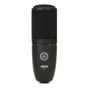 AKG 스튜디오용 유선마이크 블랙, P120