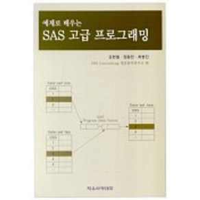 예제로 배우는 SAS 고급 프로그래밍, 자유아카데미