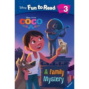 Coco A Family Mystery