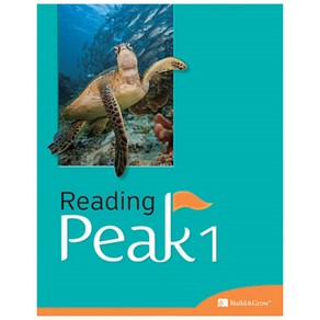 Reading Peak 1