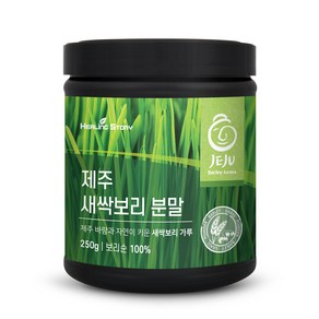 힐링스토리 제주 새싹보리 분말, 1개, 250g