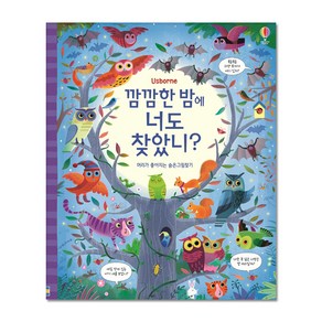 깜깜한 밤에 너도 찾았니?:머리가 좋아지는 숨은그림찾기, 어스본코리아