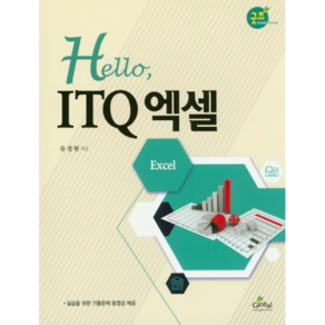 헬로 ITQ 엑셀, 글로벌