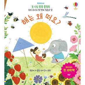 Usborne해는 왜 떠요?:우리 아이 첫 과학책 | 태양