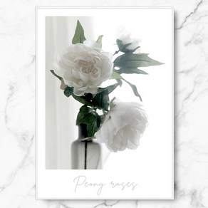 RYMD White Peony Roses 메탈 액자, A1, 화이트