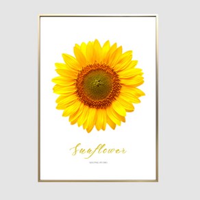 해바라기 Yellow Sunflowe 포스터 + 알루미늄 액자, LIGHT GOLD