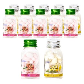 DOSFARM 아이스붐 캔디 레몬향 22g x 6p + 복숭아향 22g x 6p 세트