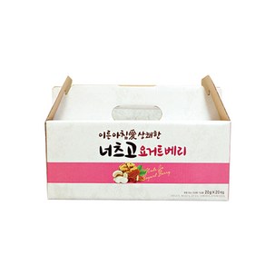 토농이 너츠고 요거트베리 선물박스, 1개, 400g