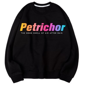 벤힛 Petrichor 세미 오버핏 특양면 빅사이즈 맨투맨