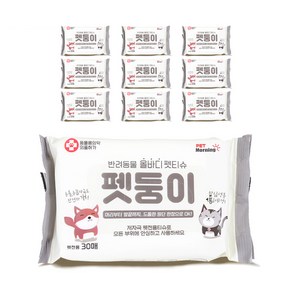 펫모닝 펫둥이 올바디 펫티슈 TS-721 30매, 230g, 10팩