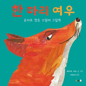 한 마리 여우:숫자로 만든 스릴러 그림책