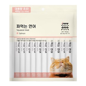 무마진 짜먹는 고양이 간식 40p