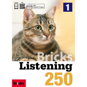 브릭스 Bricks Listening 250 1