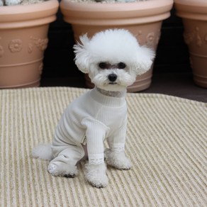 에이미러브즈펫 반려동물 퐁퐁 레이스 올인원, 아이보리, 1개