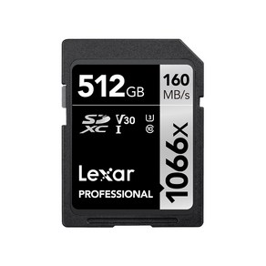 렉사 Pofessional 1066x SD카드, 512GB, 1개