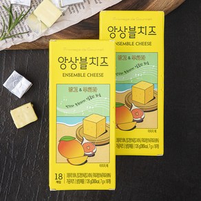 FromagedeGourmet 앙상블 치즈 망고 & 무화과 18개입