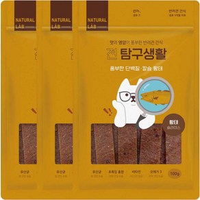 내츄럴랩 견탐구생활 슬라이스 간식, 황태, 100g, 3개