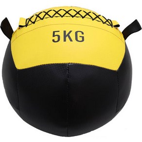 순잠 헬스 소프트 웨이트볼 5kg