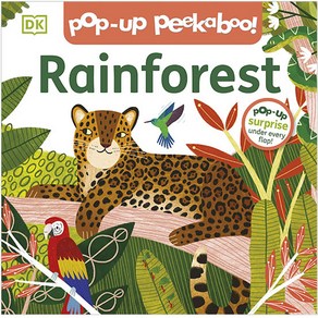 Rainfoest : Pop Up Peekaboo, Doling Kindesley