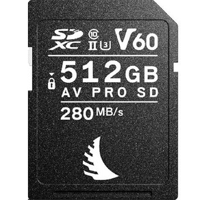 엔젤버드 AV PRO SD MK2 V60 메모리카드 AVP256SDMK2V60, 512GB, 1개