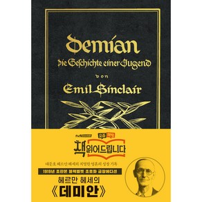 Demian : 1919년 오리지널 초판본 초호화 블랙벨벳 금장 에디션 리커버