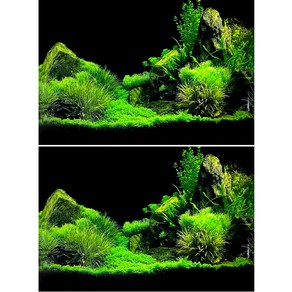 미미네아쿠아 싱그러운수초가득 어항 백스크린 2p, 혼합색상, 2개