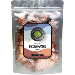 동이약초 영지버섯 통, 250g, 1개