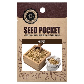 월드가드닝 메주콩씨 30g, 1개