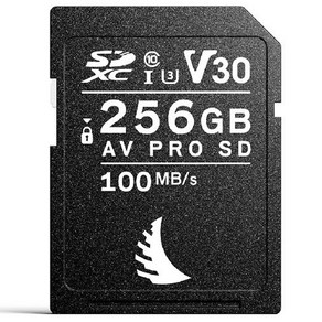 엔젤버드 AV PRO V30 SD카드, 256GB, 1개