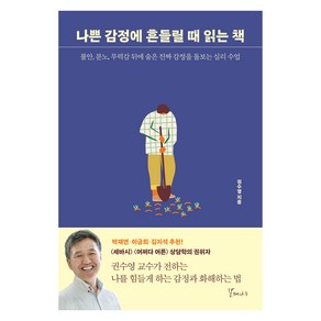 나쁜 감정에 흔들릴 때 읽는 책