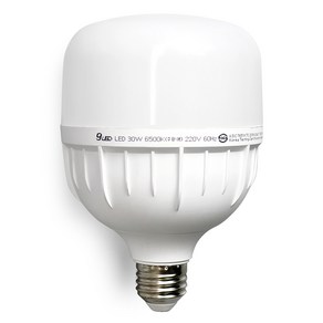 건식 LED 전구 30W E26 고와트 원통 T램프 보안등, 주광색, 1개